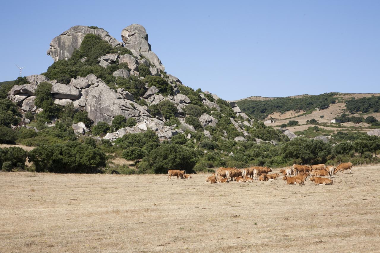 Locanda Li Manni Aggius Zewnętrze zdjęcie