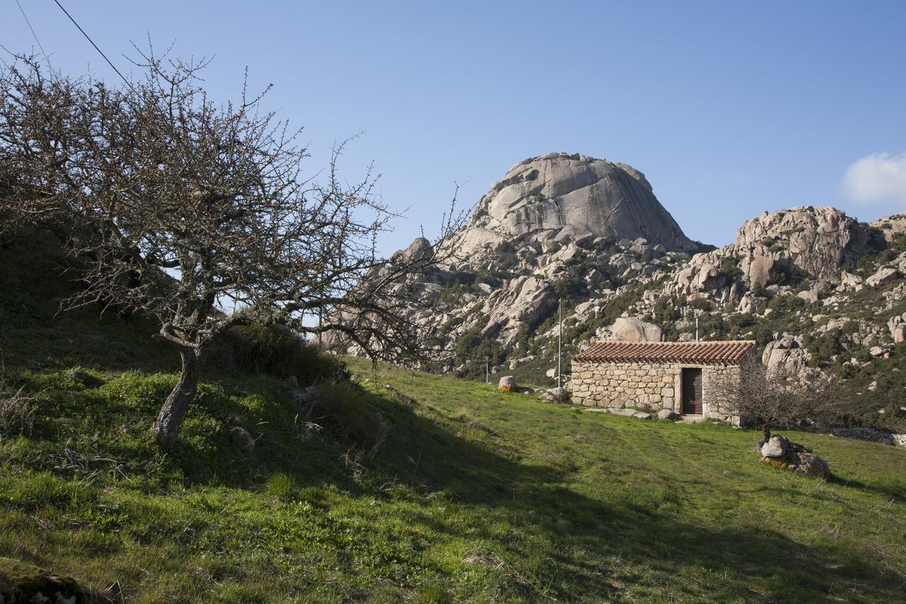 Locanda Li Manni Aggius Zewnętrze zdjęcie